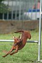 RoryAgility (1)